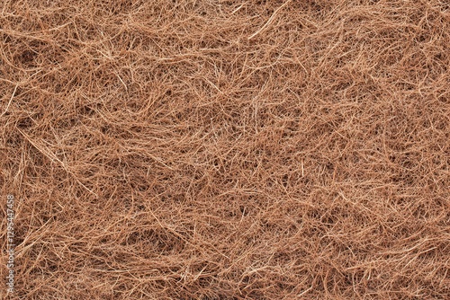 Wallpaper Mural Brown coconut fiber texture background Torontodigital.ca