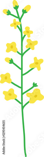 개나리 유채꽃 들꽃 봄 꽃 일러스트 Forsythias canola flower wild flower spring flower illustration