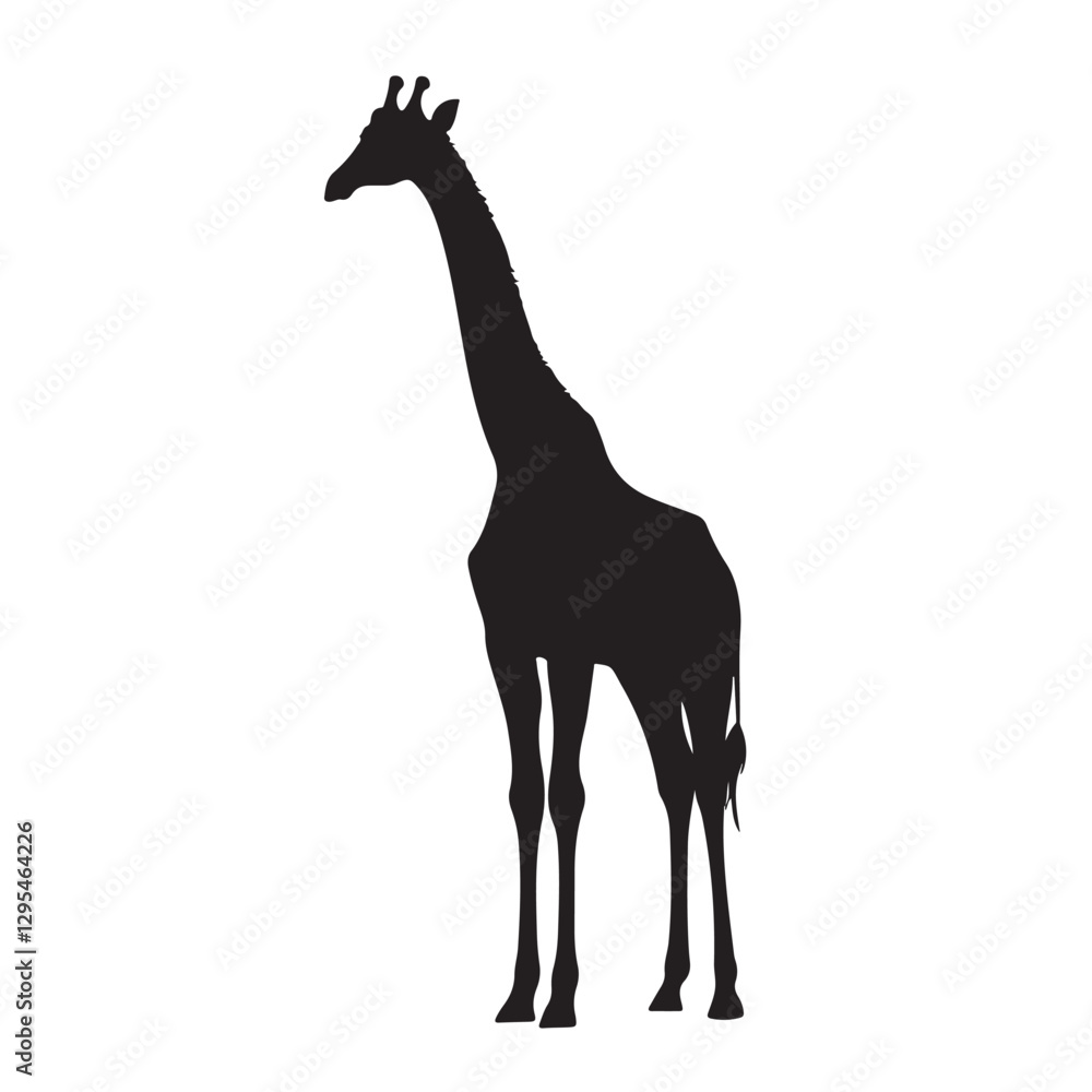 Giraffe silhouette design for t-shirt and logo. Giraffe silhouette design for t-shirt and logo.