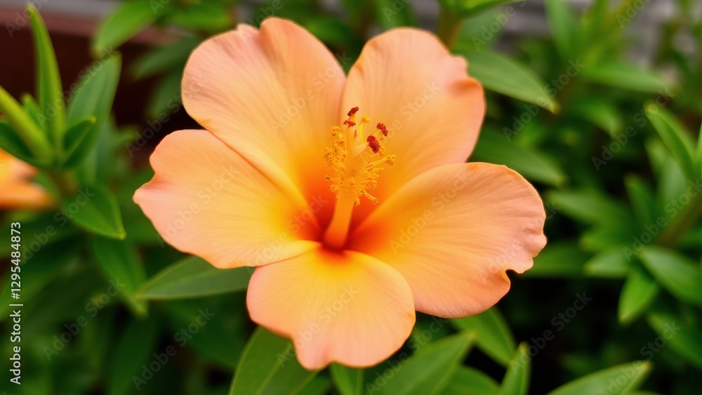 A beautiful peach flower with delicate petals and a vibrant yellow center, surrounded by lush green leaves. A beautiful peach flower with delicate petals and a vibrant yellow center, surrounded by lush green leaves.