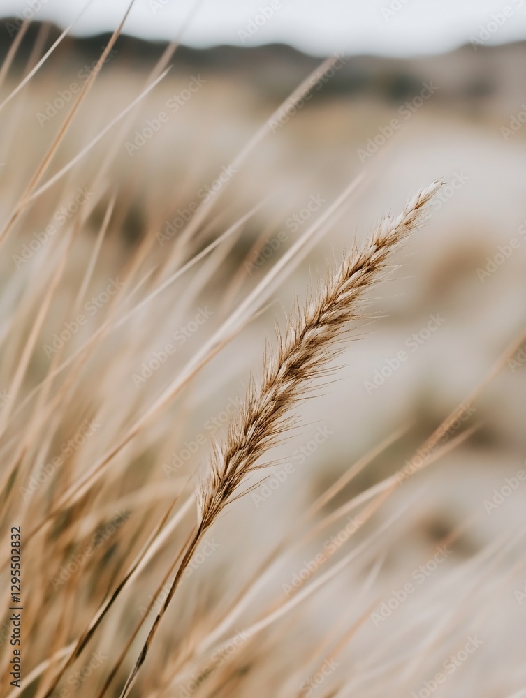 Golden grass swaying gently in the breeze on a bright sunny day showcasing nature's beauty : Generative AI Golden grass swaying gently in the breeze on a bright sunny day showcasing nature's beauty : Generative AI