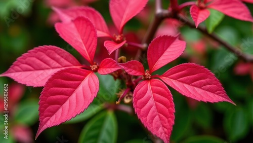 Wallpaper Mural Vibrant red leaves on a rose bush create a striking contrast against the green background. Torontodigital.ca