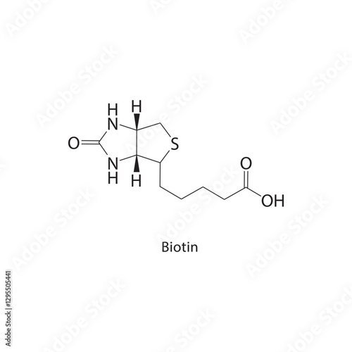 Biotin skeletal structure.Vitamin compound schematic illustration. Simple diagram, chemical formula.