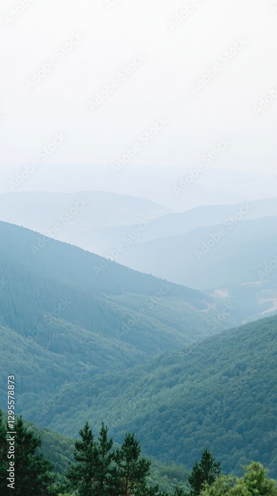 Obraz premium Misty mountain range view, forest background, possible travel or nature wallpaper