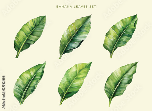 Banana-leaves-set
