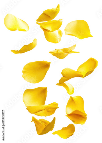 PNG Yellow petals floating flower arrangement outdoors.