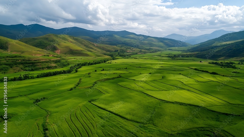 Aerial view of vast green fields stretching towards distant mountains under bright blue skies with clouds : Generative AI Aerial view of vast green fields stretching towards distant mountains under bright blue skies with clouds : Generative AI