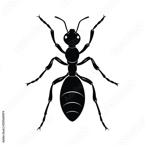 Ant silhouette isolated on white background