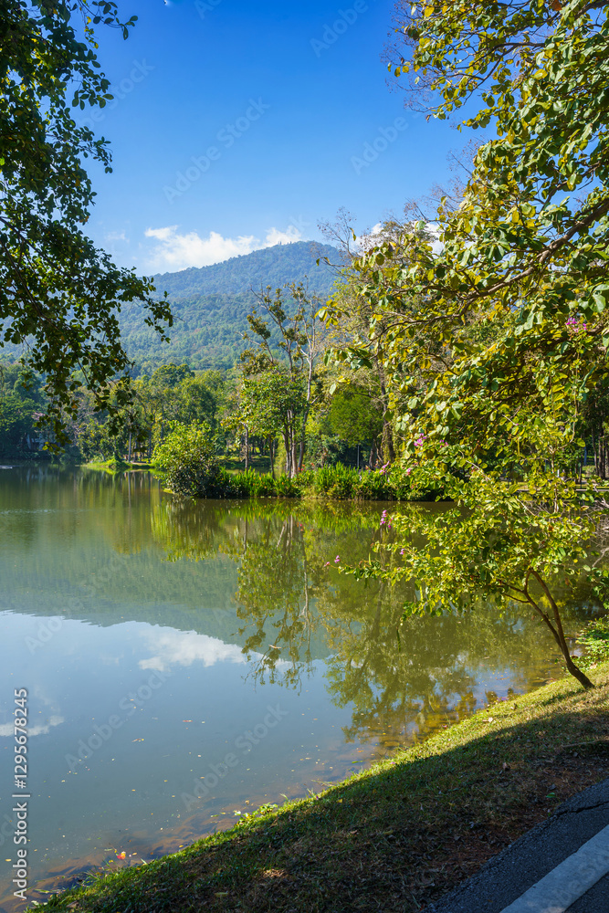 a public place leisure travel landscape lake views at Ang Kaew Chiang Mai University and Doi Suthep nature forest Mountain views spring cloudy sky background with white cloud.