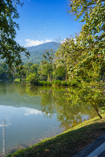 Obraz na płótnie a public place leisure travel landscape lake views at Ang Kaew Chiang Mai University and Doi Suthep nature forest Mountain views spring cloudy sky background with white cloud. w salonie