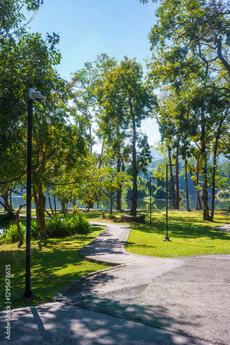 Obraz na płótnie a public place leisure travel landscape lake views at Ang Kaew Chiang Mai University and Doi Suthep nature forest Mountain views spring cloudy sky background with white cloud. w salonie