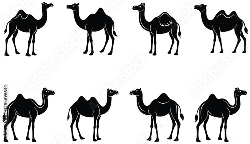 Camel Silhouette Collection. Camel icons. Camels Vector Silhouette set. Camel vector shilhouette bundle