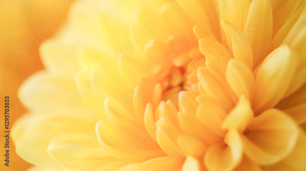 A close up of a yellow flower with a bright, sunny look A close up of a yellow flower with a bright, sunny look