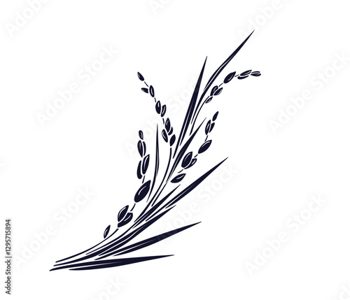 Rice plant, raw long grains Vector isolate branch