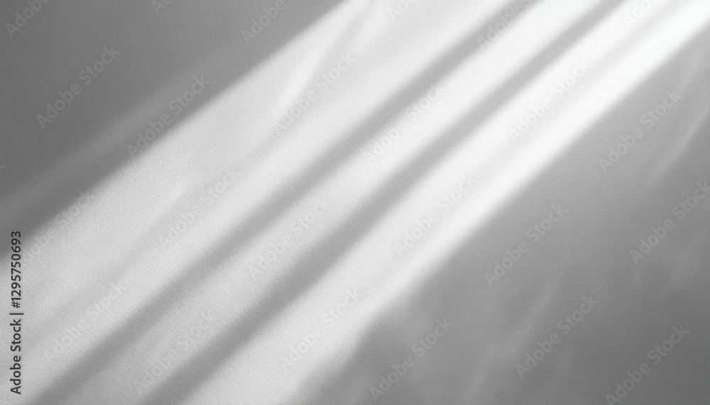 きらめく光と影 きらめく光と影