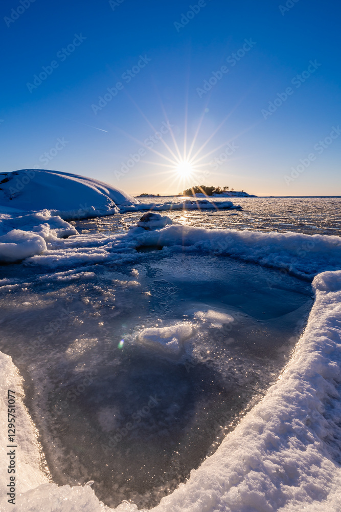 winter landscape with snow