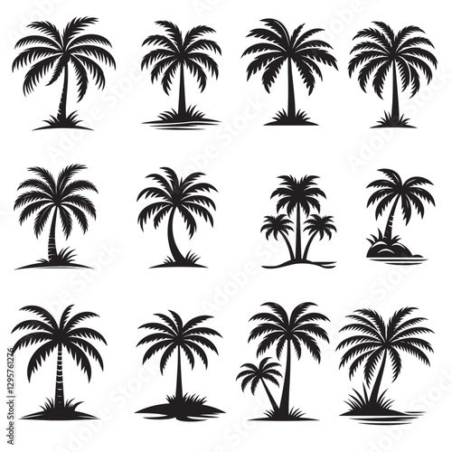 Vector illustration of a palm tree on a transparent background 