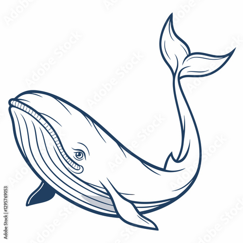 whale