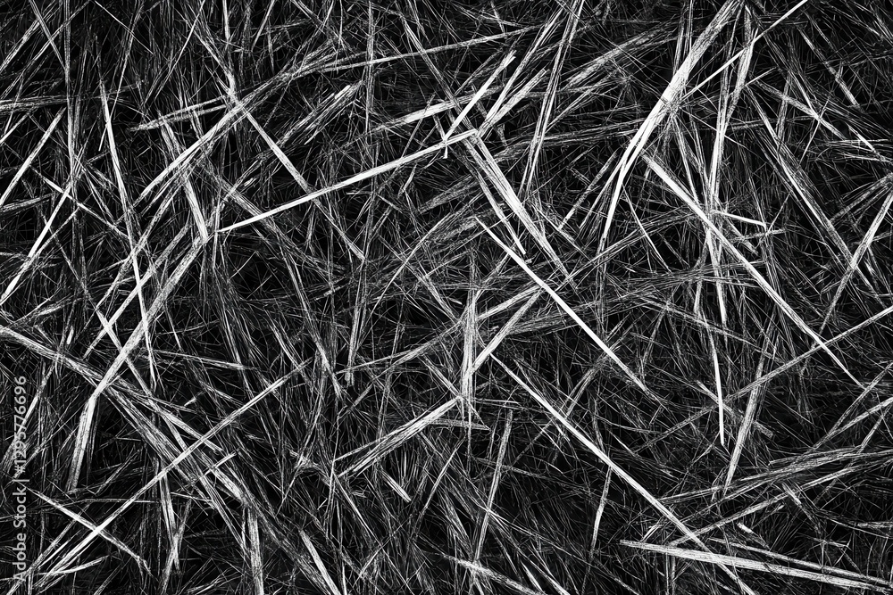 Monochrome grass texture, field background, design element Monochrome grass texture, field background, design element