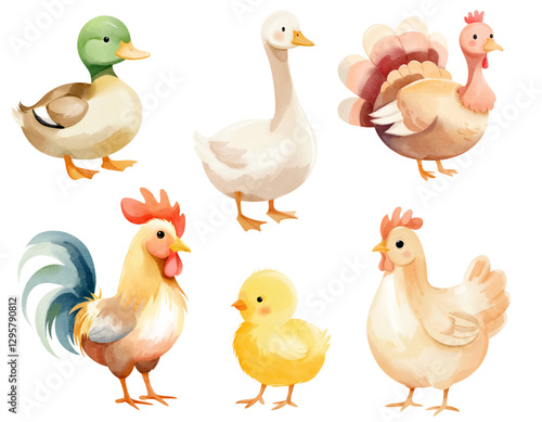 Hand drawn farm birds. Watercolor domestic birds. Goose, duck, rooster, hen, chicken, turkey.
