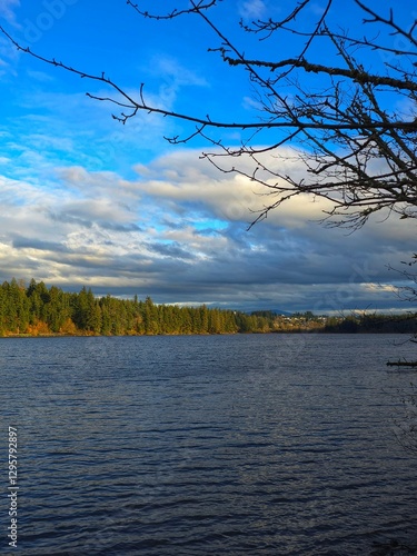A gorgeous partly cloudy afternoon at a lake in the Pacific Northwest.