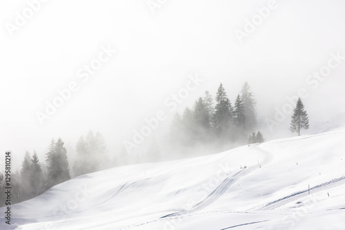 Minimal winter landscape in fog with cross-country skiing track