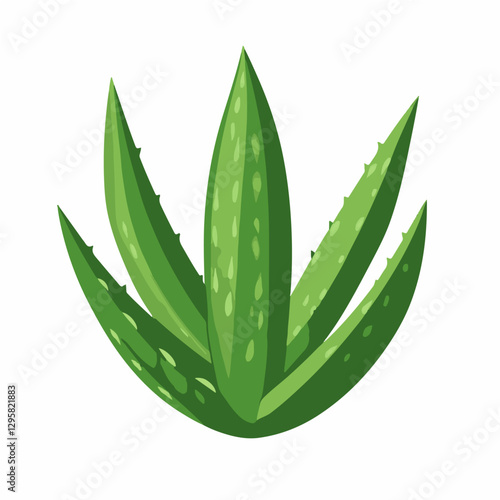 Simple flat 2D icon aloe vera leaf isolated on a white background, vector, flat design, animation design, vector, flat design, animation design, simple flat 2D icon, modern design, flat