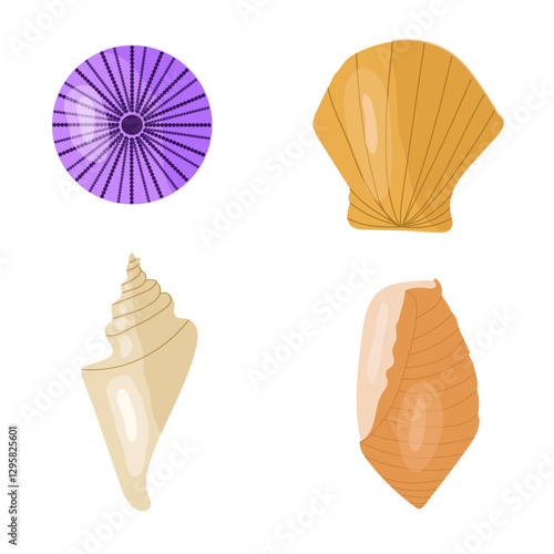 Set of colored shells isolated, cartoon, flat design