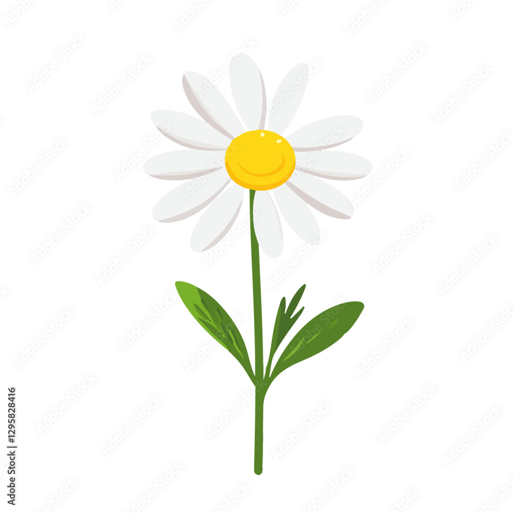 Obraz premium Simple flat 2D illustration of a chamomile flower branch isolated on a white background, vector 2D design, icon, flat 2d illustration art, flat icon, vector illustration, flower collection