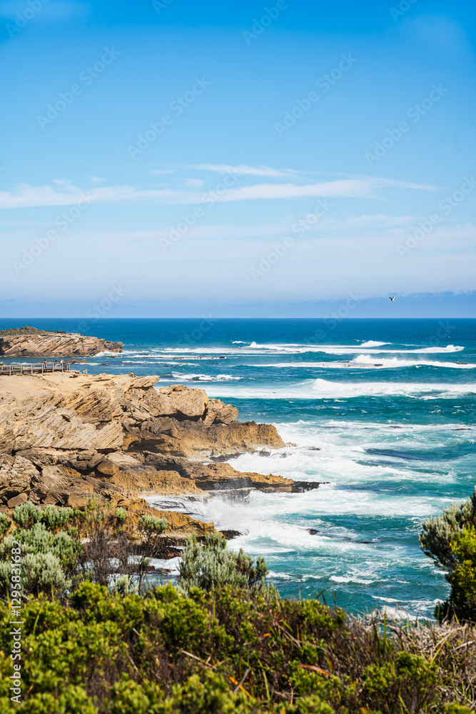 Fototapeta premium Coast of the sea at Thunder Point, Warrnambool, Great Ocean Road, Victoria, Australia