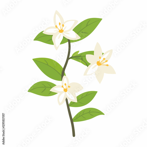Simple flat 2D icon jasmine branch isolated on transparent background, vector, flat design, animation design, vector, flat design, animation design, simple flat 2D icon, minimalist design, clipart