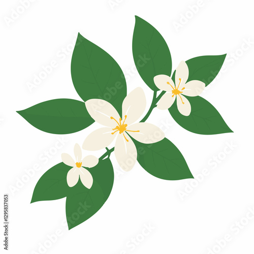 Simple flat 2D icon jasmine branch leaf isolated on transparent background, vector, flat design, animation design, vector, flat design, animation design, simple flat 2D, minimalist design, clipart