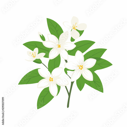 Simple flat 2D icon jasmine branch leaf isolated on transparent background, vector, flat design, animation design, vector, flat design, animation design, simple flat 2D, minimalist design, clipart