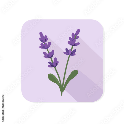 Simple flat 2D icon lavender branch isolated on a white background, vector, flat design, animation design, vector, flat design, simple flat 2D icon, minimalist and modern 
