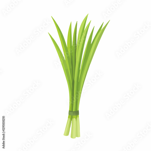 Simple flat 2D icon lemongrass isolated on a white background, vector, flat design, animation design, vector, flat design, simple flat 2D icon, minimalist and modern, flat design