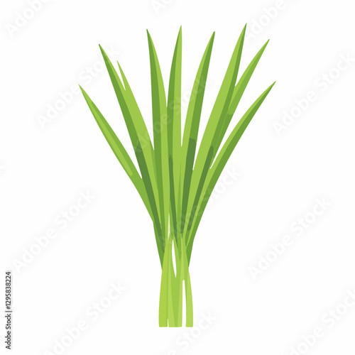 Simple flat 2D icon green lemongrass branch isolated on a white background, vector, flat design, animation design, vector, flat design, simple flat 2D icon, minimalist and modern, flat design