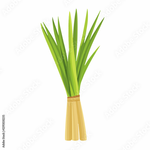 Simple flat 2D icon green lemongrass branch isolated on a white background, vector, flat design, animation design, vector, flat design, simple flat 2D icon, minimalist and modern, flat design