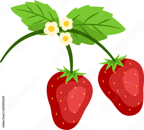 Strawberry fruit illustration with leaf in slice, half, whole in vector format. Red berry strawberry with leaf. Fresh strawberry.