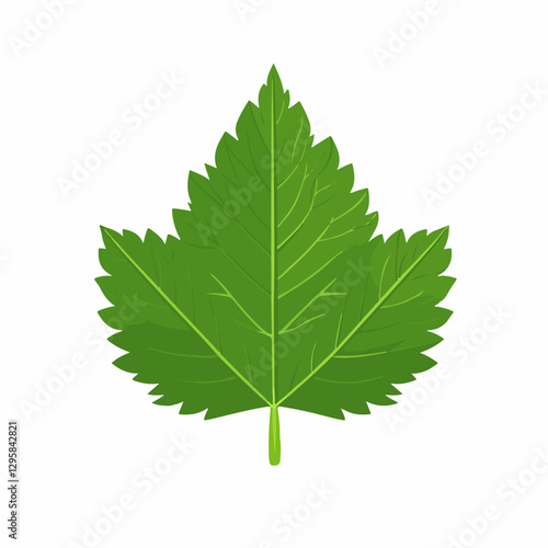 Simple flat 2D icon nettle leaf isolated on blue background, vector, flat design, animation design, animation design, simple flat 2D icon, clipart