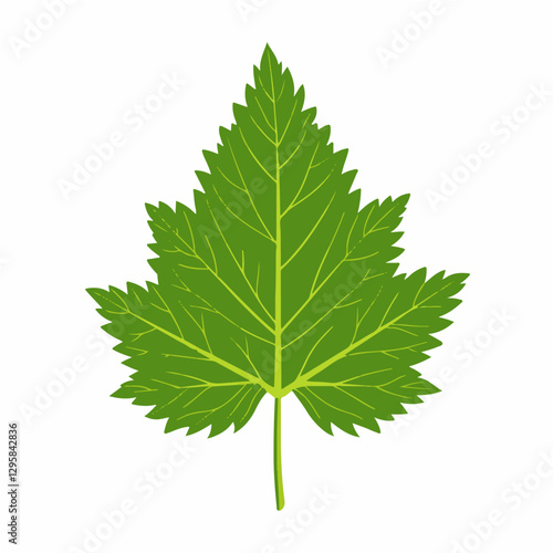 A Simple icon flat 2D icon nettle leaf isolated on a transparent background, vector, animation design, simple flat 2D icon, minimalist design and modern illustration