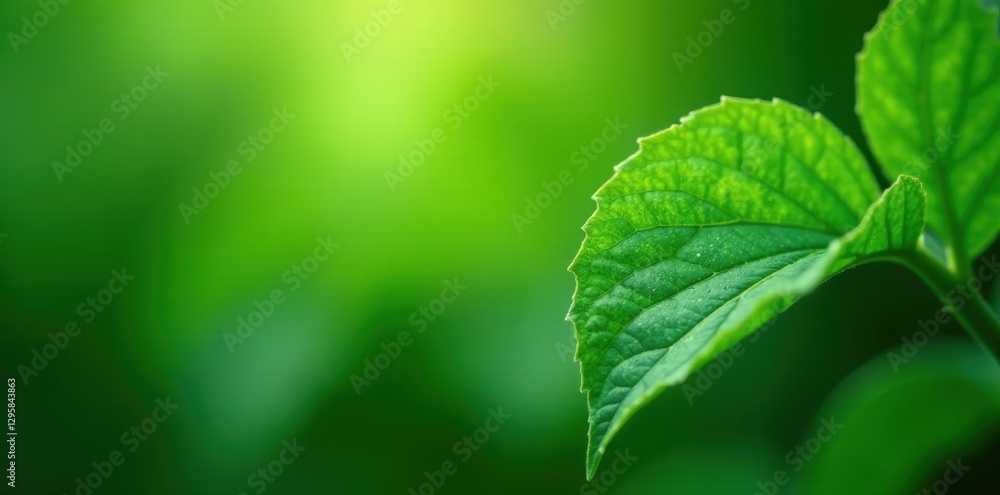 Intricate green leaf details, soft focus, ethereal feel, pattern, green Intricate green leaf details, soft focus, ethereal feel, pattern, green