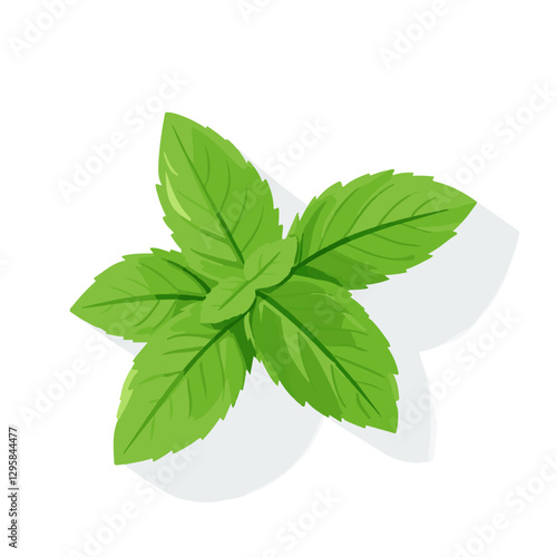 Simple flat 2D icon peppermint leaf branch isolated on white background, vector, flat design, animation design, animation design, simple flat 2D icon, clipart