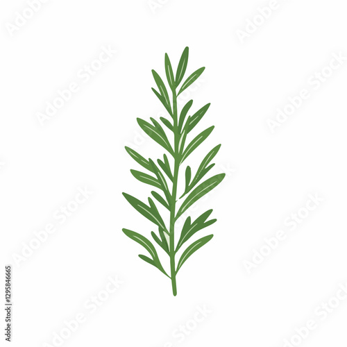 Simple flat 2D icon rosemary leaf branch isolated on white background, vector, flat design, animation design, animation design, simple flat 2D icon, clipart