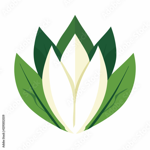 A Simple icon flat 2D icon green bok choy branch isolated on a transparent background, vector, animation design, simple flat 2D icon, minimalist design and modern illustration