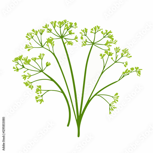 A Simple icon flat 2D icon dill isolated on a transparent background, vector, animation design, simple flat 2D icon, minimalist design and modern illustration