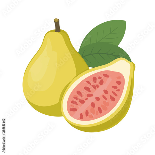 A Simple icon flat 2D icon sliced  guava branch isolated on a transparent background, vector, flat design, animation design, simple flat 2D icon, minimalist design