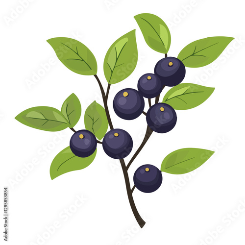 Photos A Simple icon flat 2D icon black huckleberry isolated on a transparent backgroun