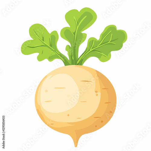 Simple flat 2D icon rutabaga with leaves isolated on a transparent background, vector, flat design, animation design, vector, flat design, animation design, simple flat 2D icon, minimalist design
