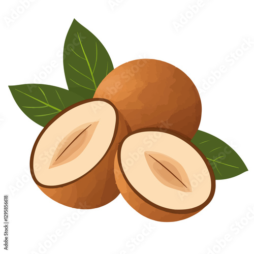 Simple flat 2D icon sapodilla branch isolated on a transparent background, vector, flat design, animation design, vector, flat design, animation design, simple flat 2D icon, minimalist design