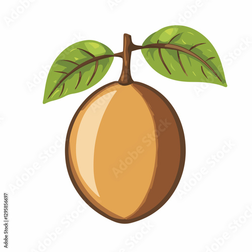 Simple flat 2D icon sapodilla isolated on a transparent background, vector, flat design, animation design, vector, flat design, animation design, simple flat 2D icon, minimalist design